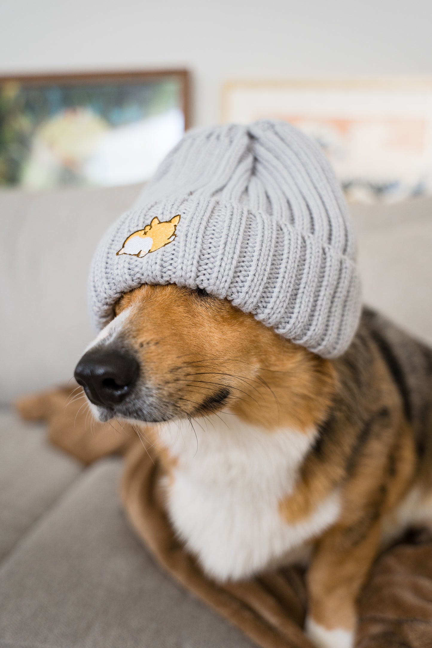 Embroidered Corgi Sploot Ribbed Knit Acrylic Wool Beanie Hat