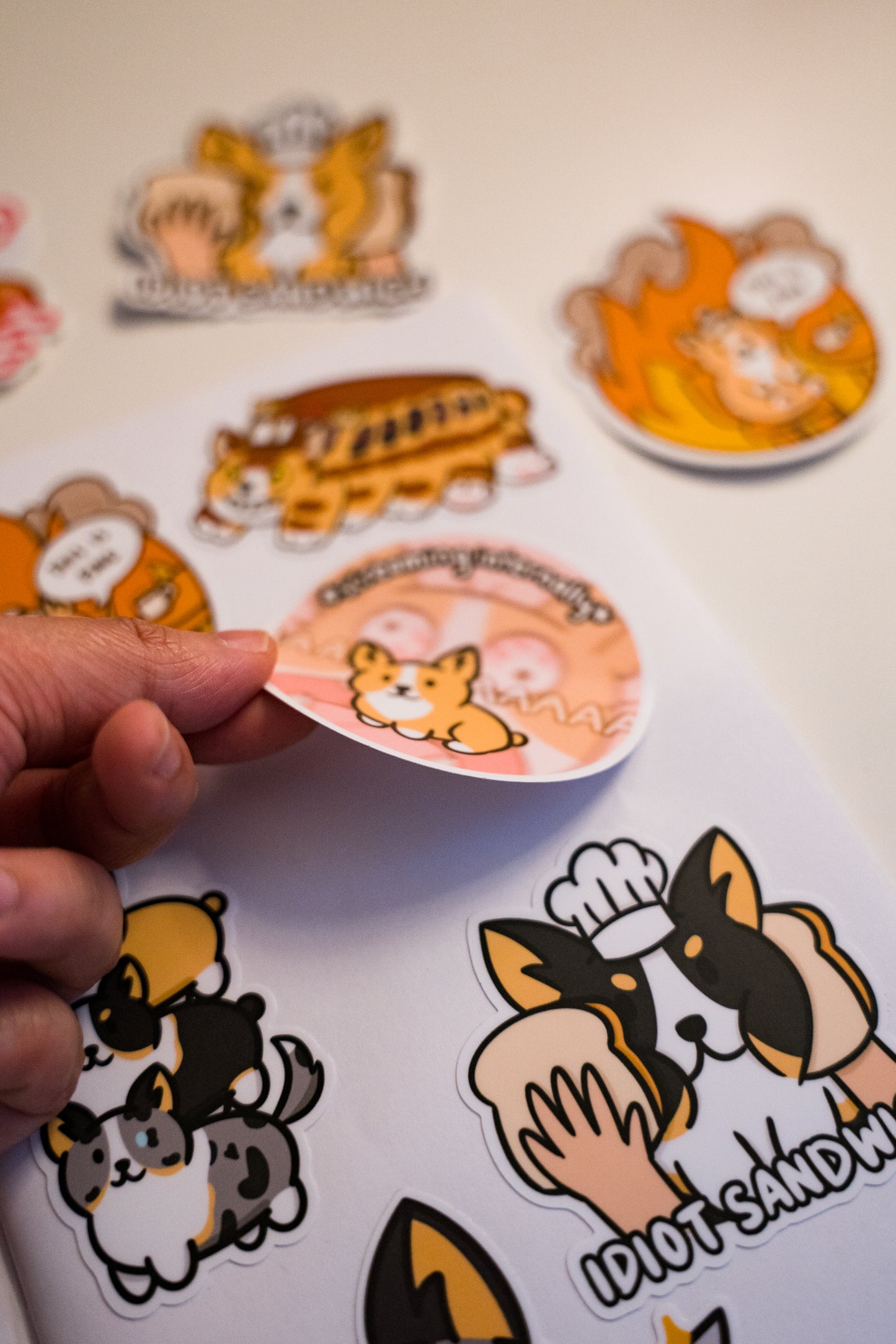 Reusable Sticker Book