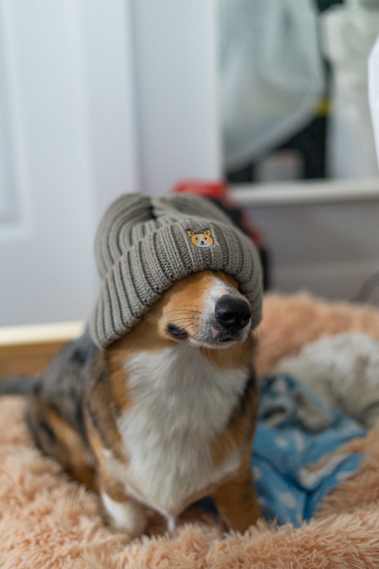 Embroidered Ribbed Knit Acrylic Wool Beanie Hat