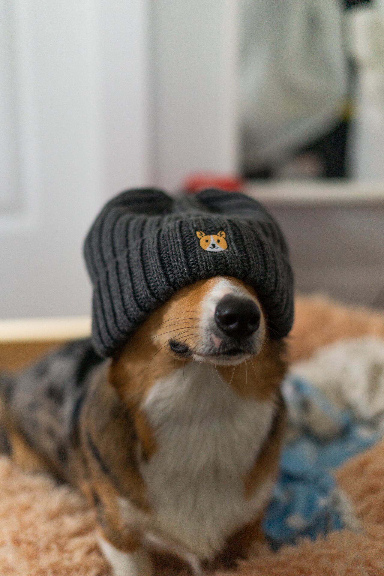 Embroidered Ribbed Knit Acrylic Wool Beanie Hat