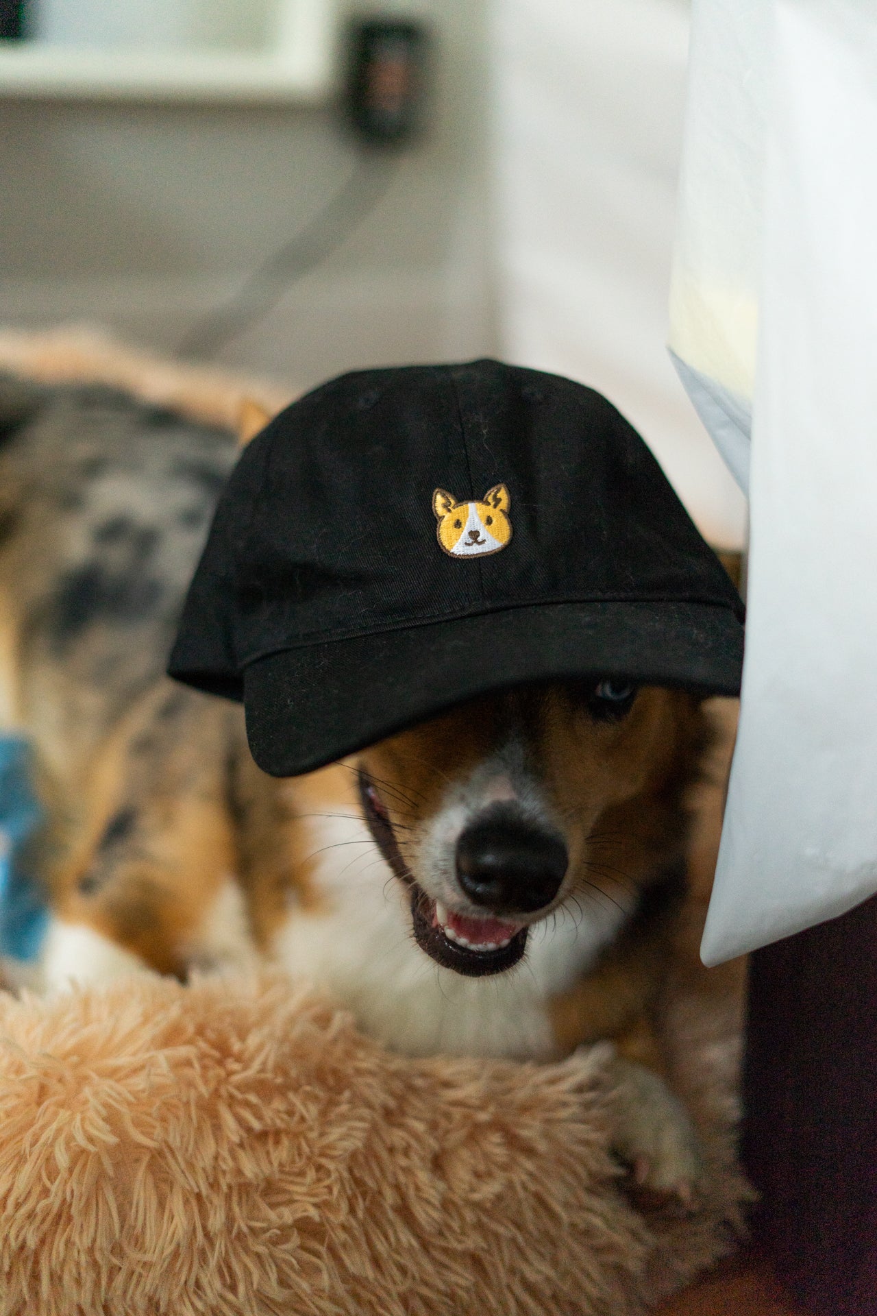 Embroidered Corgi Cotton Baseball Dad Hat