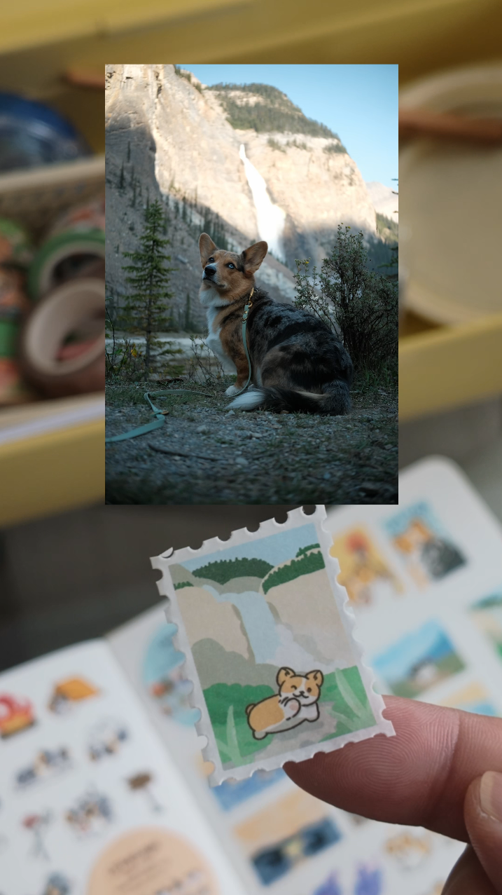 Adventure Corgis Stamp Washi Tape