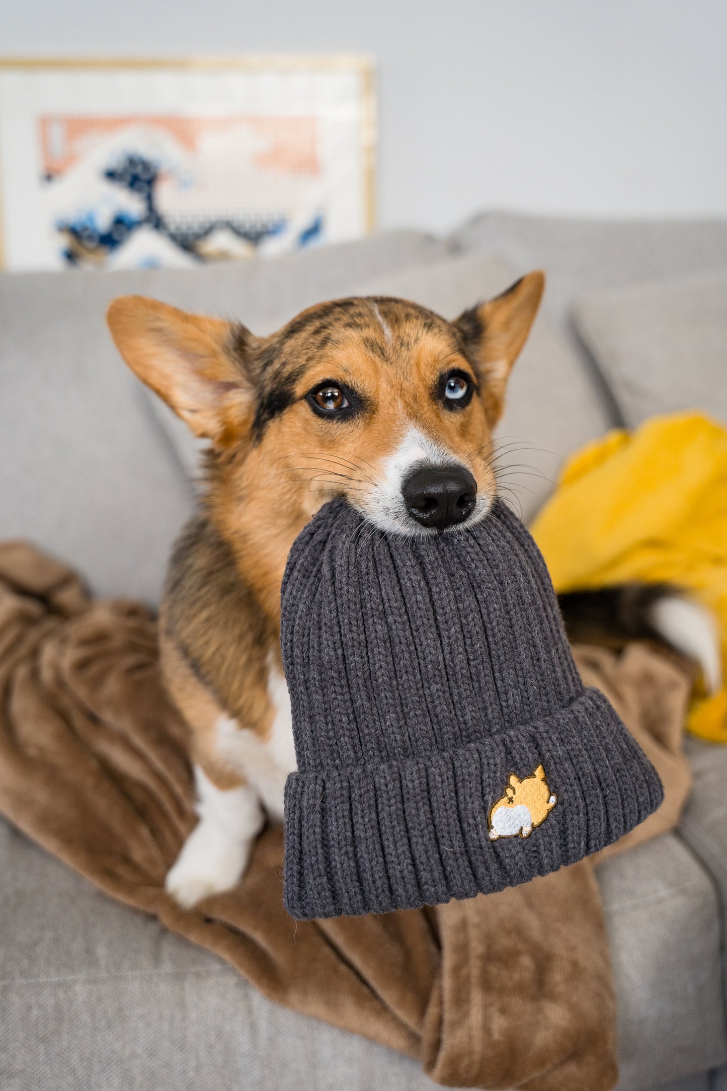 Embroidered Corgi Sploot Ribbed Knit Acrylic Wool Beanie Hat