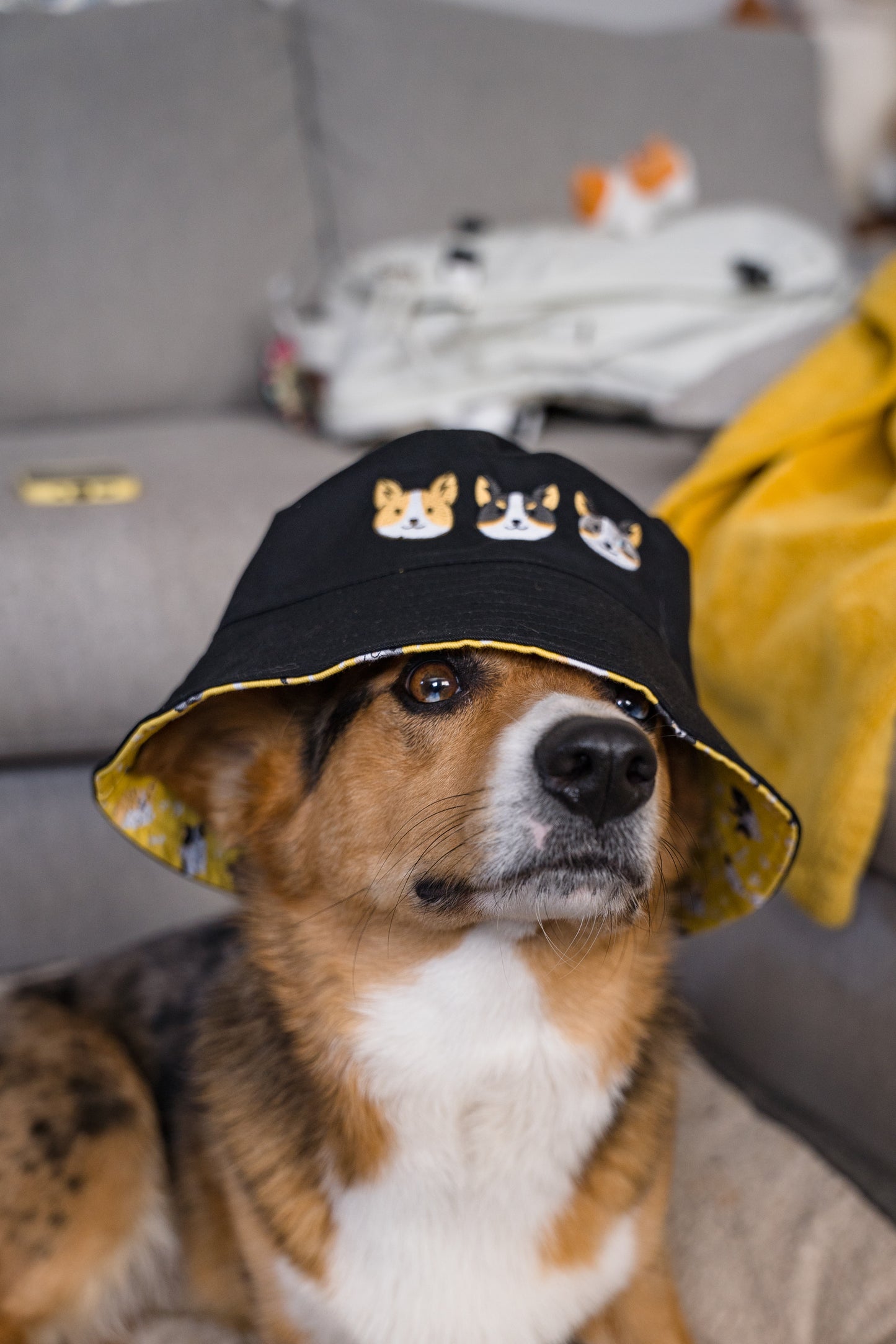 Corgo Friends Reversible Black and Yellow Bucket Hat