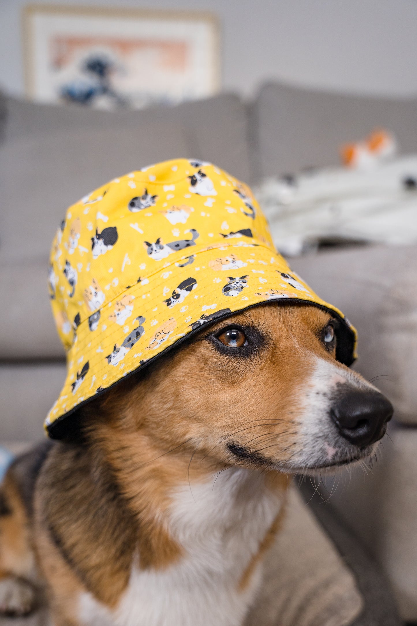 Corgo Friends Reversible Black and Yellow Bucket Hat