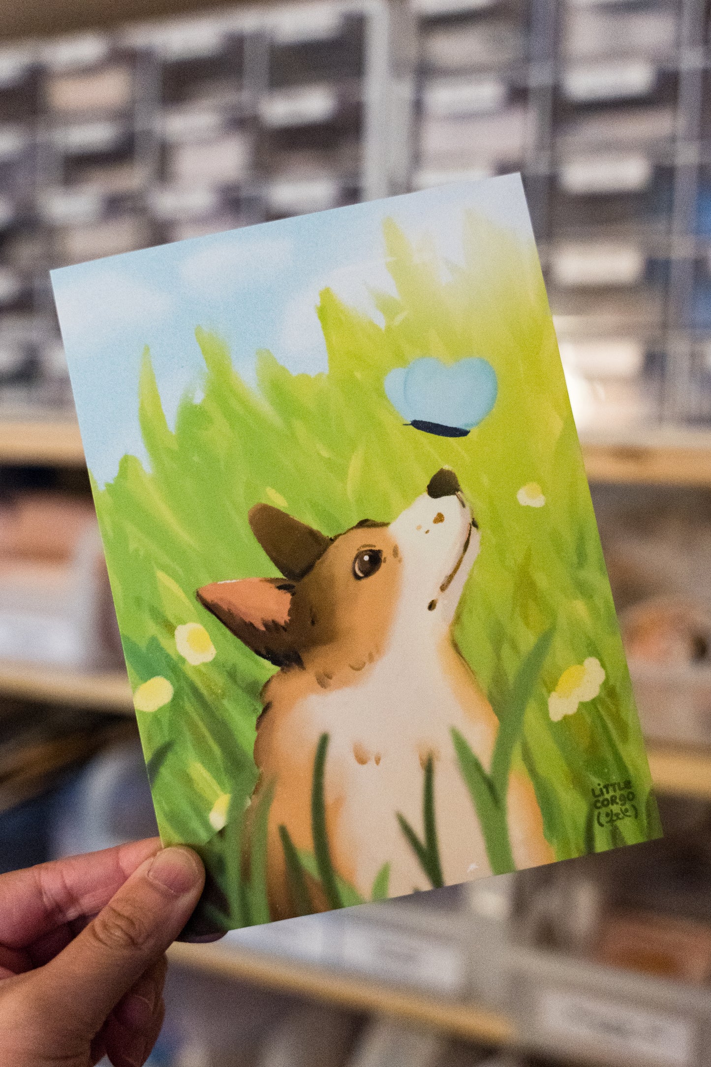 Butterfly - Corgi Print